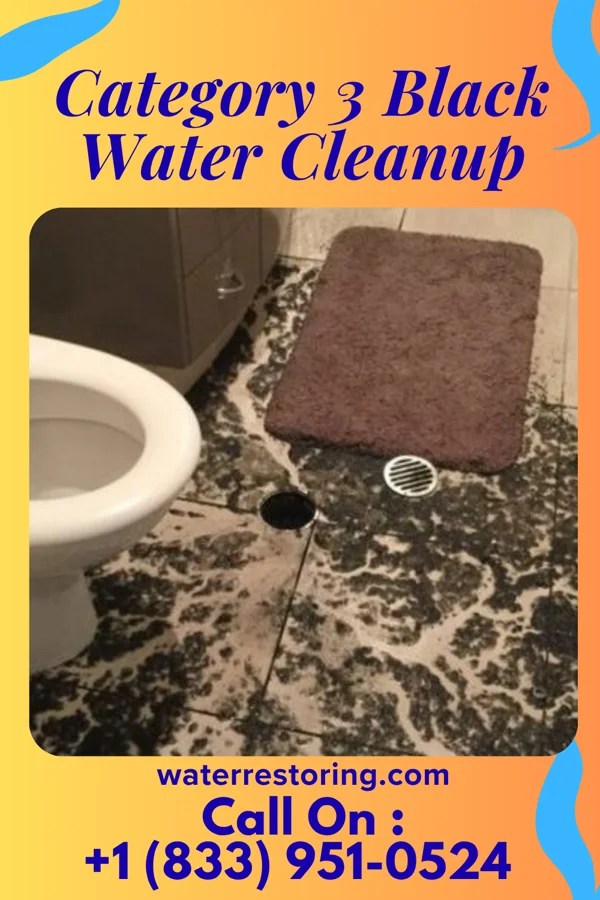 Category 3 Black Water Cleanup in Pojoaque, NM